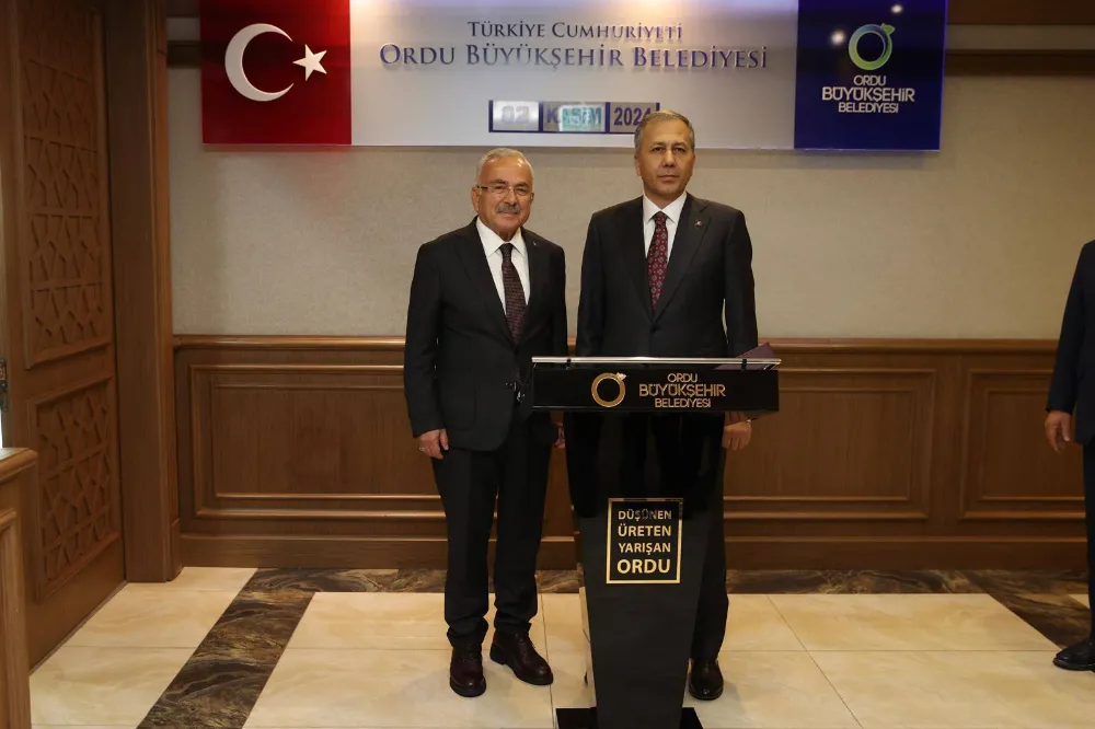 Bakan Yerlikaya, Ordu Valiliği