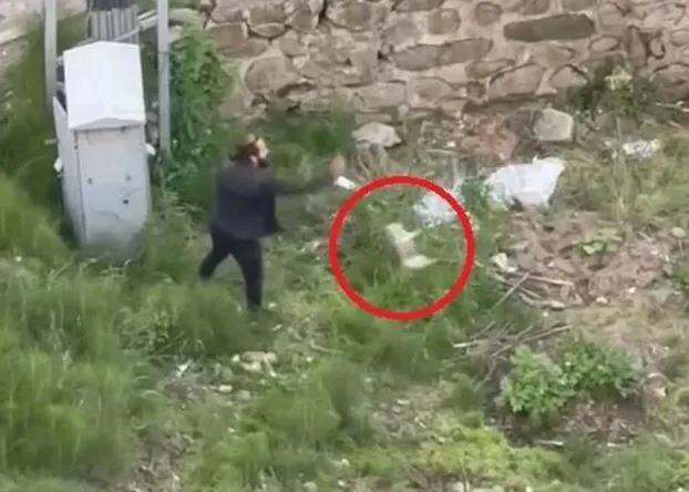 Yavru kediyi ezerek öldürdü: İfadesi pes dedirtti!