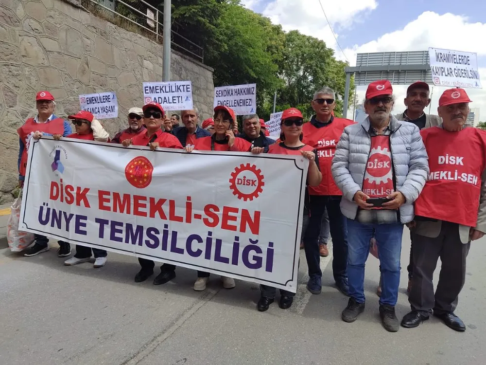 EMEKLİNİN ORDU SESİ OLDULAR.