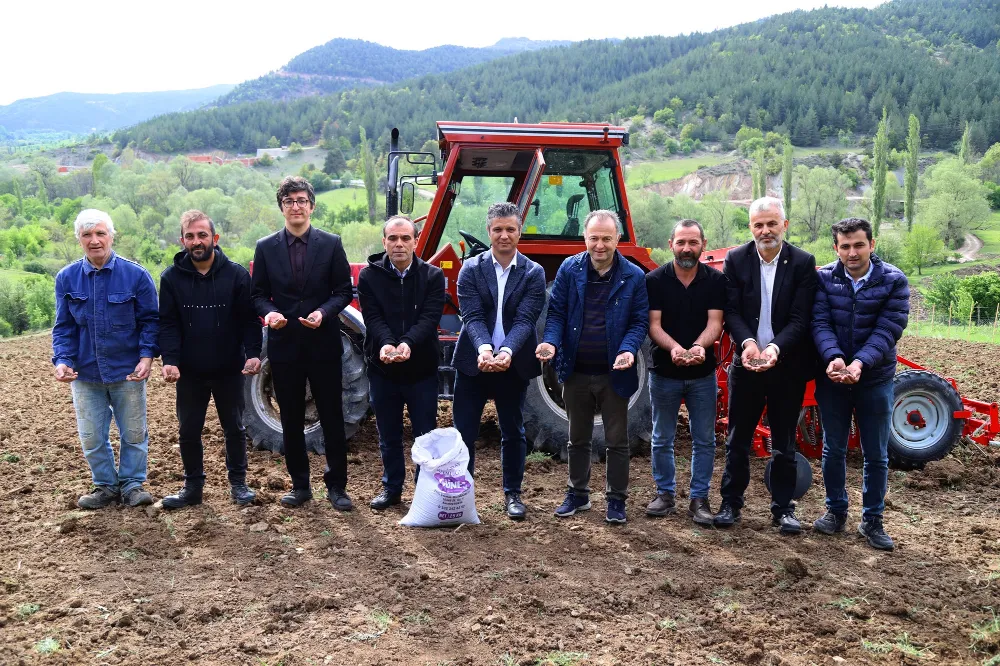 ORDU’YA YENİ BİR TARIM ÜRÜNÜ KAZANDIRILIYOR