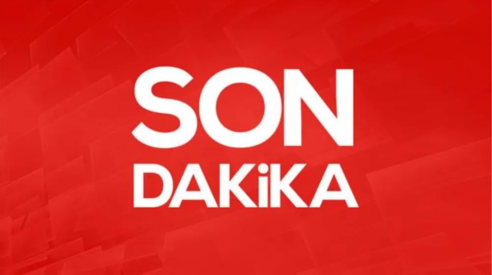 ORDULU VATANDAŞ AŞK ACISI İÇİN CANINA KIYMAK İSTEDİ