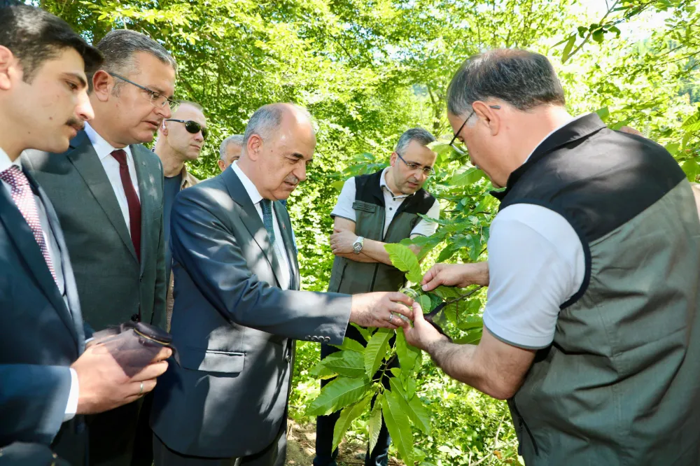 Vali Erol, Ulubey İlçesinde İnceleme, Ziyaret ve Temaslarda Bulundu