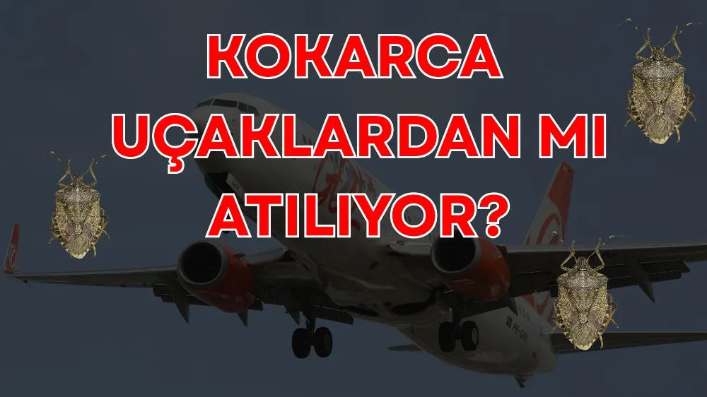 KOKARCA UÇAKLARDAN MI ATILIYOR?