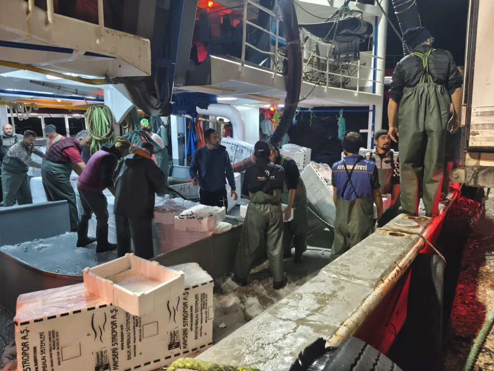 Ünye’de Hamsi Avcılığına Sıkı Denetim: 108 Ton Hamsiye Nakil Onayı Verildi