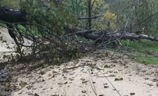 Fatsa’da Şiddetli Yağış 3 Elektrik Direğini Yıktı