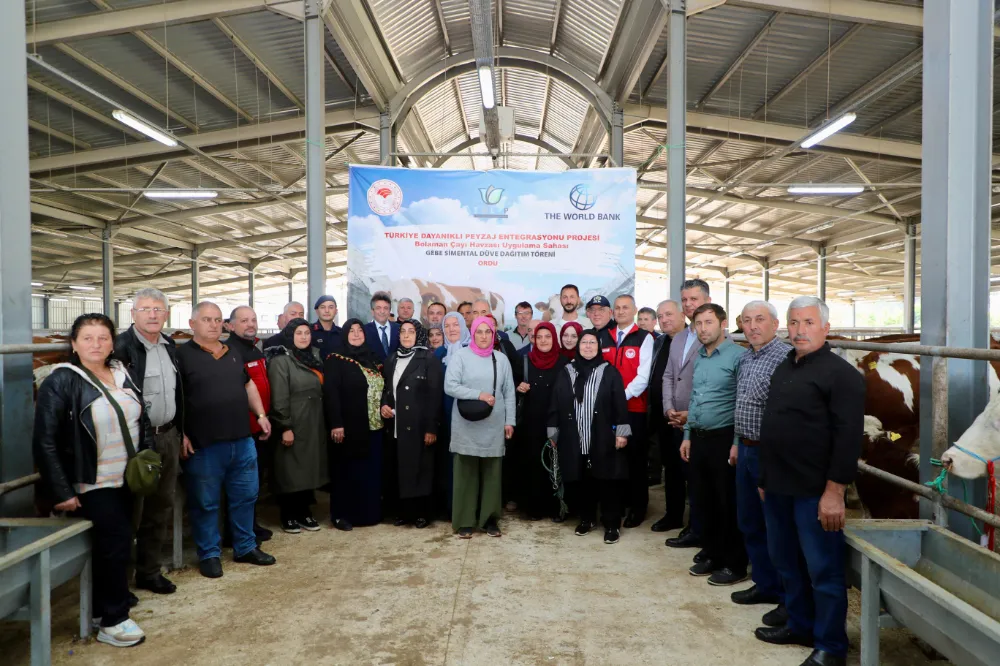 TULIP Projesi Kapsamında Gebe Simental Düve Dağıtım Yapıldı
