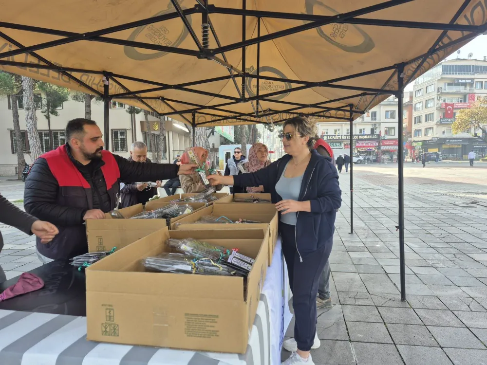 BÜYÜKŞEHİR BELEDİYESİ LAVANTA VE ATLAS SEDİRİ FİDAN DAĞITIMI GERÇEKLEŞTİRDİ...