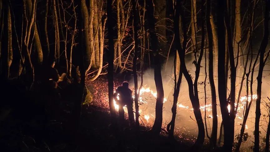 Kumru ilçesinde çıkan örtü yangınına ekipler müdahale ediyor.