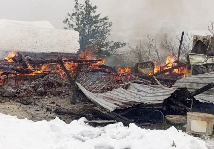 PELİTLİYATAK