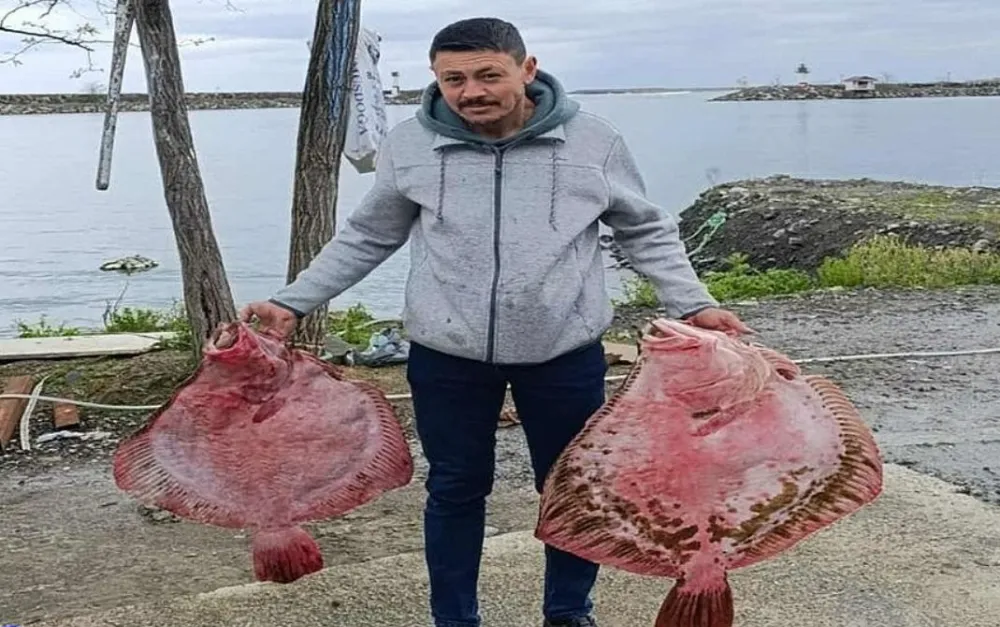 ORDU