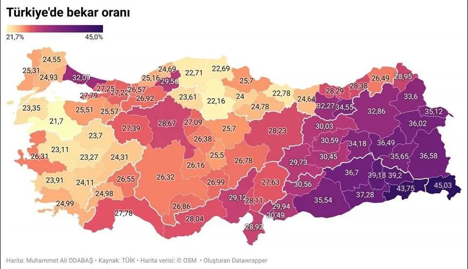 Ordu’da Bekâr Sayısı 22.780