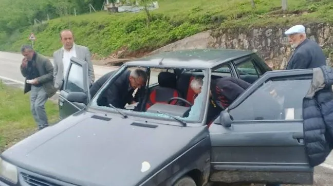 Karaca Seyir Halindeki Aracın Üzerine Atladı