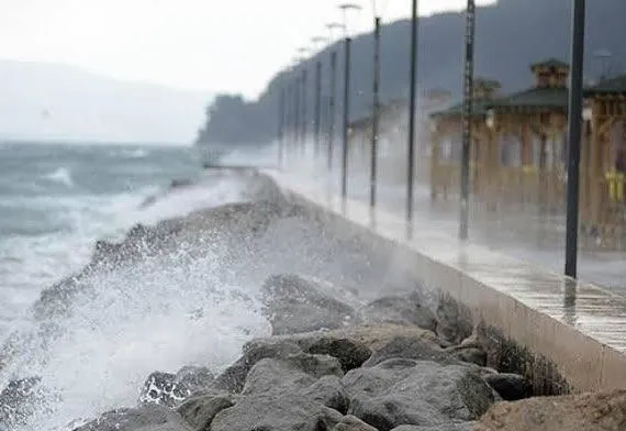 Ordu