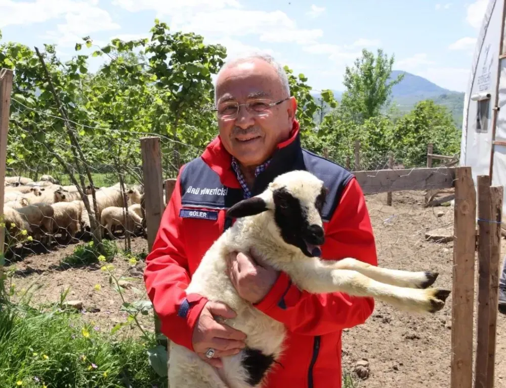 Ordu’da Küçükbaş Hayvancılığa Destek