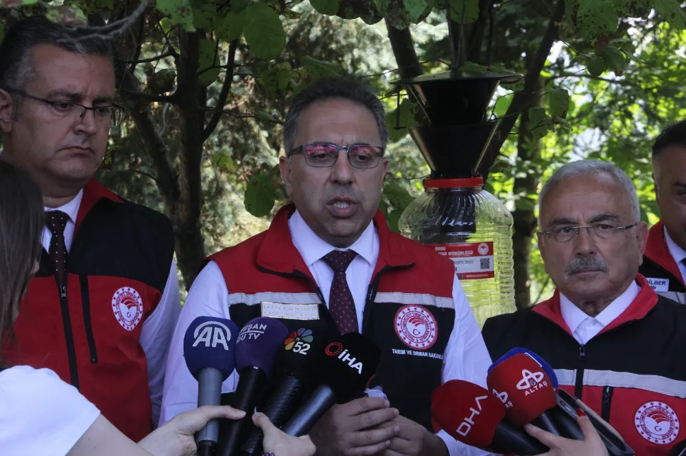 15 BİN SAMURAY ARISI DOĞAYA SALINDI