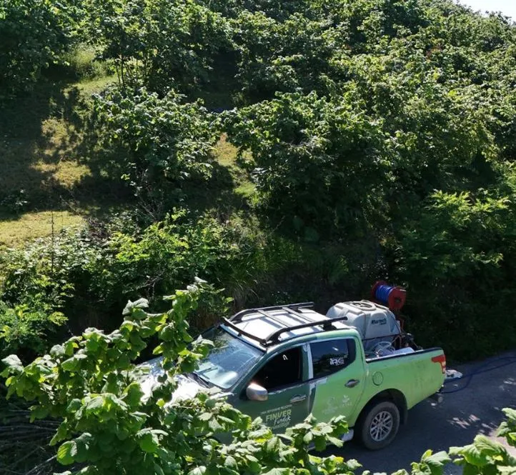 ORDU’DA FINDIKTA VERİMLİLİK ARTIRILIYOR