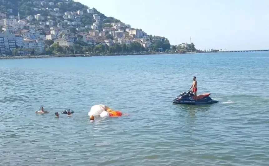 Ordu