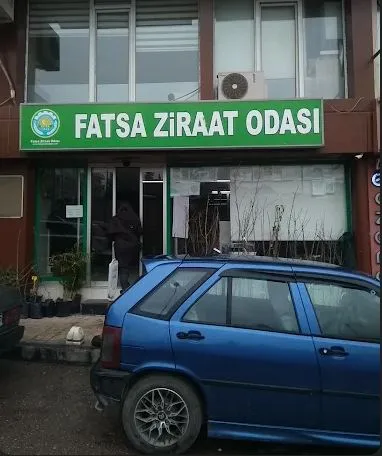 FATSA ZİRAAT ODASI’NDAN FINDIK AÇIKLAMASI: “300 TL’NİN ALTINDA FİYAT KABUL EDİLEMEZ”