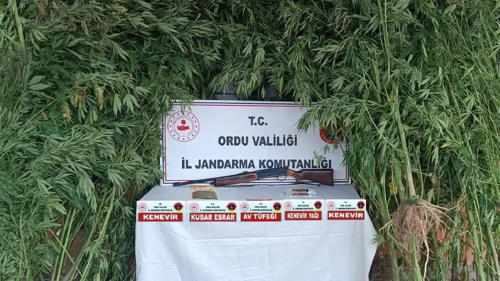 Jandarmadan Uyuşturucu Operasyonu