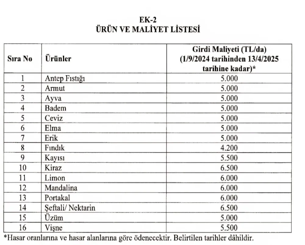 Fındık Üreticilerine 2026 Destekleri Resmî Gazete’de