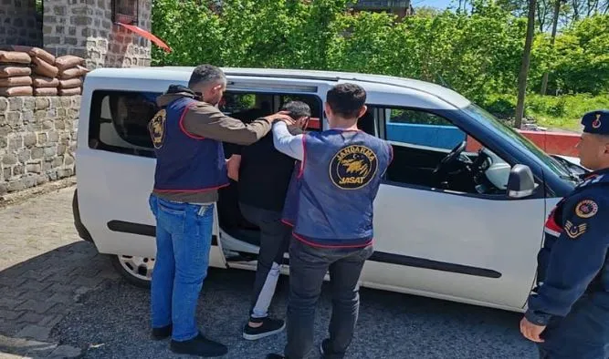 Ordu
