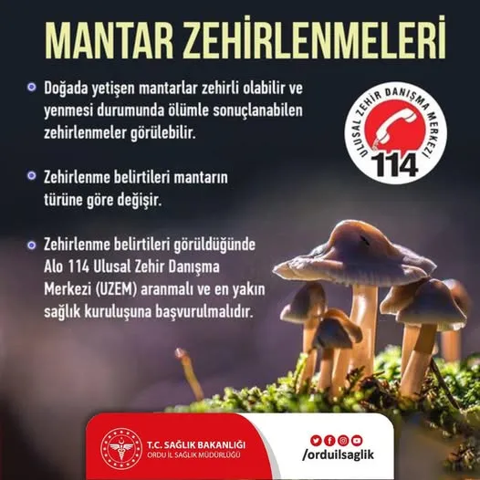 Mantar Zehirlenmesine Karşı Vatandaşlara Uyarı